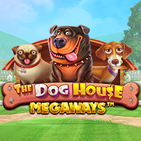 vswaysdogs